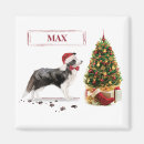Recherche de colley magnets Noël