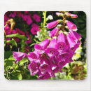 Recherche de digitale rose électronique Floral