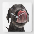 Recherche de nez horloges Mignon