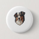 Recherche de chiens de berger australiens badges Chiot