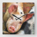 Recherche de funny pig posters Pigs