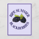 Recherche de fruit juteux cartes postales Jardin
