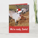 Zoek naar rendier grap kaarten Santa