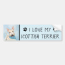 Recherche de écossais voiture autocollants Terrier