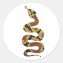 Recherche de peau serpent de autocollants Coloré