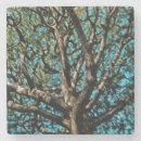 Zoek naar structuur onderzetters Blauw