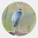 Zoek naar reiger stickers Groen
