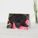 Zoek naar kerstmis engelen kaarten Dier