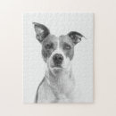 Recherche de chien blanc puzzles Adorable