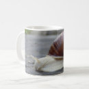 Zoek naar snail mokken Dier
