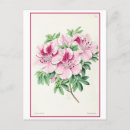 Recherche de botanique antique cartes postales Vintage