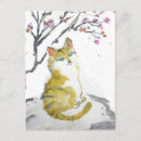 Recherche de chat orange cartes postales Miaou