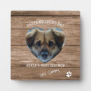 Recherche de chien plaques Mignon