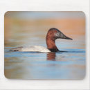 Recherche de barrage tapis souris Oiseau