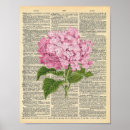 Zoek naar hydrangea hortensia kunst Vintage