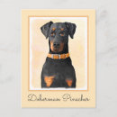 Recherche de dobermann cartes postales Dobie