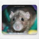 Recherche de rats tapis souris Fantaisie