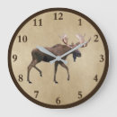 Zoek naar bullen klokken Dieren