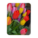 Recherche de bouquets de ressort magnets Tulipes