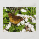 Recherche de fritillaire cartes postales Nature