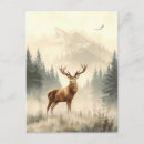 Recherche de animaux sauvages cartes postales Nature