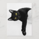 Recherche de manger cartes postales Noir