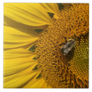 Recherche de abeille miel carreaux Jardin