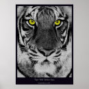 Zoek naar tijger ogen posters Bengal