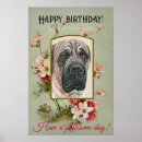Recherche de mastiff anglais posters Canine