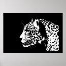 Zoek naar zwarte jaguar posters Grote kat