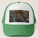 Recherche de jaguar casquettes Chat