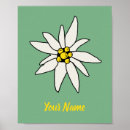 Recherche de edelweiss art Fleur