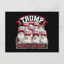 Zoek naar donald briefkaarten Verkiezing