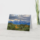 Recherche de jackson hole cartes postales Paysage