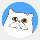 Zoek naar witte perzische kat stickers Schattig