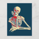 Zoek naar anatomie briefkaarten Botten