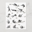Recherche de laine cartes postales Chaton