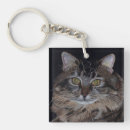 Recherche de chat de ragondin Chats