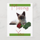 Recherche de vous manquant cartes postales Amour