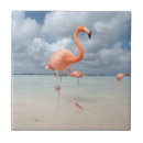 Zoek naar flamingos tegels Tropen