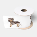 Recherche de teckel rubans Dachshund