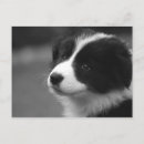 Recherche de bébé à bord cartes postales Mignon
