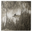 Recherche de espèces carreaux Faune