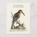 Recherche de gambie cartes postales Vintage