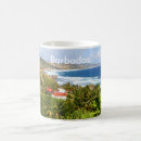 Recherche de paume tasses Des caraïbes