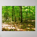 Zoek naar bosbouw posters Bomen