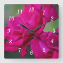 Recherche de murale de fleur horloges Rose