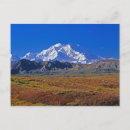 Recherche de denali alaska cartes postales Parc national denali