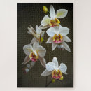 Zoek naar plantkundige puzzels Bloemen