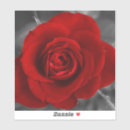 Recherche de romans autocollants Romantique
